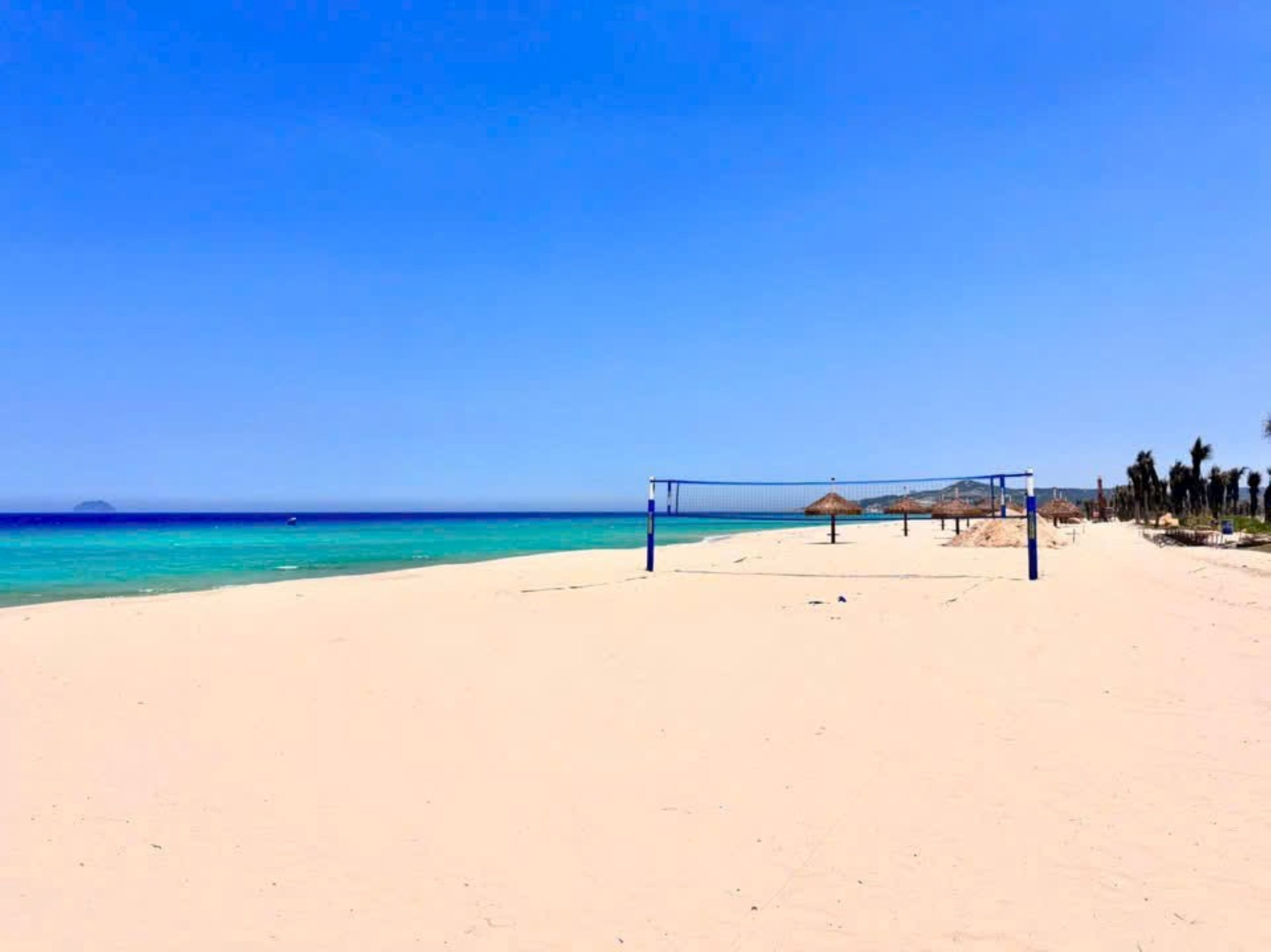 A beach with a volleyball net, palm trees, and a clear blue sky.