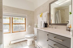 Hair dryer, towels, soap, toilet paper