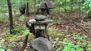 Une formation rocheuse naturelle dans une forêt.