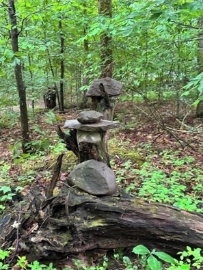 Metsämaisema, jossa kaatunut puunrunko tukee kiviä ja sen päällä on linnunpönttö.
