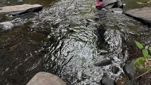 Une personne se tient sur des rochers dans une zone boisée, près d’une rivière.
