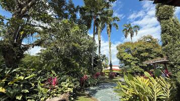 Àrea exterior de l'allotjament