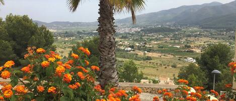Vista de un paisaje rural con una palmera y flores naranjas en primer plano, y un pueblo al fondo.