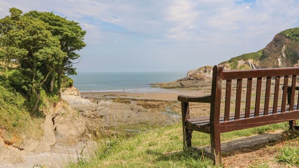 A bench overlooking a coastal landscape with a view of the sea and cliffs. - Hedgehogs (Barnstaple)