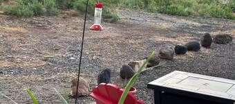 Red Tail Roost Tiny Home, Views, Hike, Bike, ATV on nearby BLM Land, Laundry