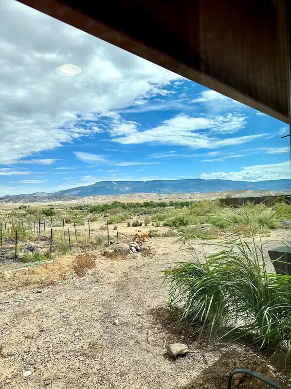 A view from inside a building looking out to a fenced area with a mountain range in the background.
