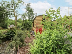 Área da propriedade