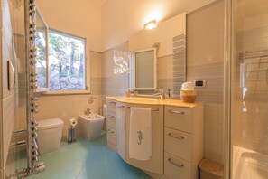 Shower, hair dryer, bidet, towels