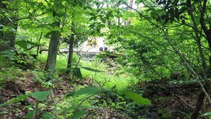 A forested area with a building partially obscured by trees. - Riverfront Bell Tent Glamping -15 minutes to Bethel Woods Concerts (Harris)