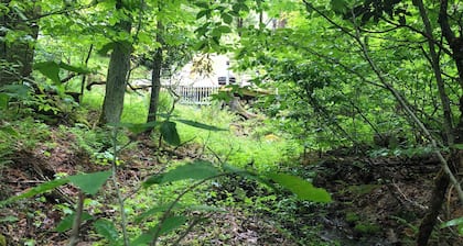 Okama Abon Bell Tent, River View Taino Woods 15 minutes to Bethel Woods Concerts