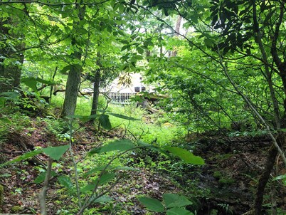 Okama Abon Bell Tent, River View Taino Woods 15 minutes to Bethel Woods Concerts