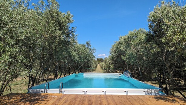 A rectangular swimming pool surrounded by trees, with a wooden deck in the foreground. - Mas Joseph amid vineyards and olive groves, 7 minutes from downtown Aix-en-Provence (Venelles)