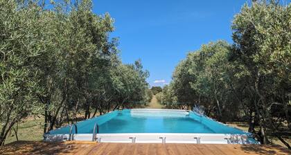 Mas Joseph amid vineyards and olive groves, 7 minutes from downtown Aix-en-Provence