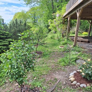 Property grounds - 3-bedroom, 2-bath chalet, minutes from I-89 Dartmouth Medical Center (lebanon)