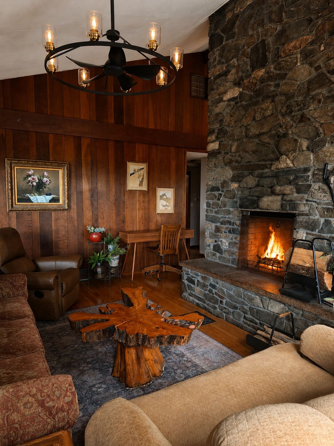 Smart TV, fireplace, books, stereo