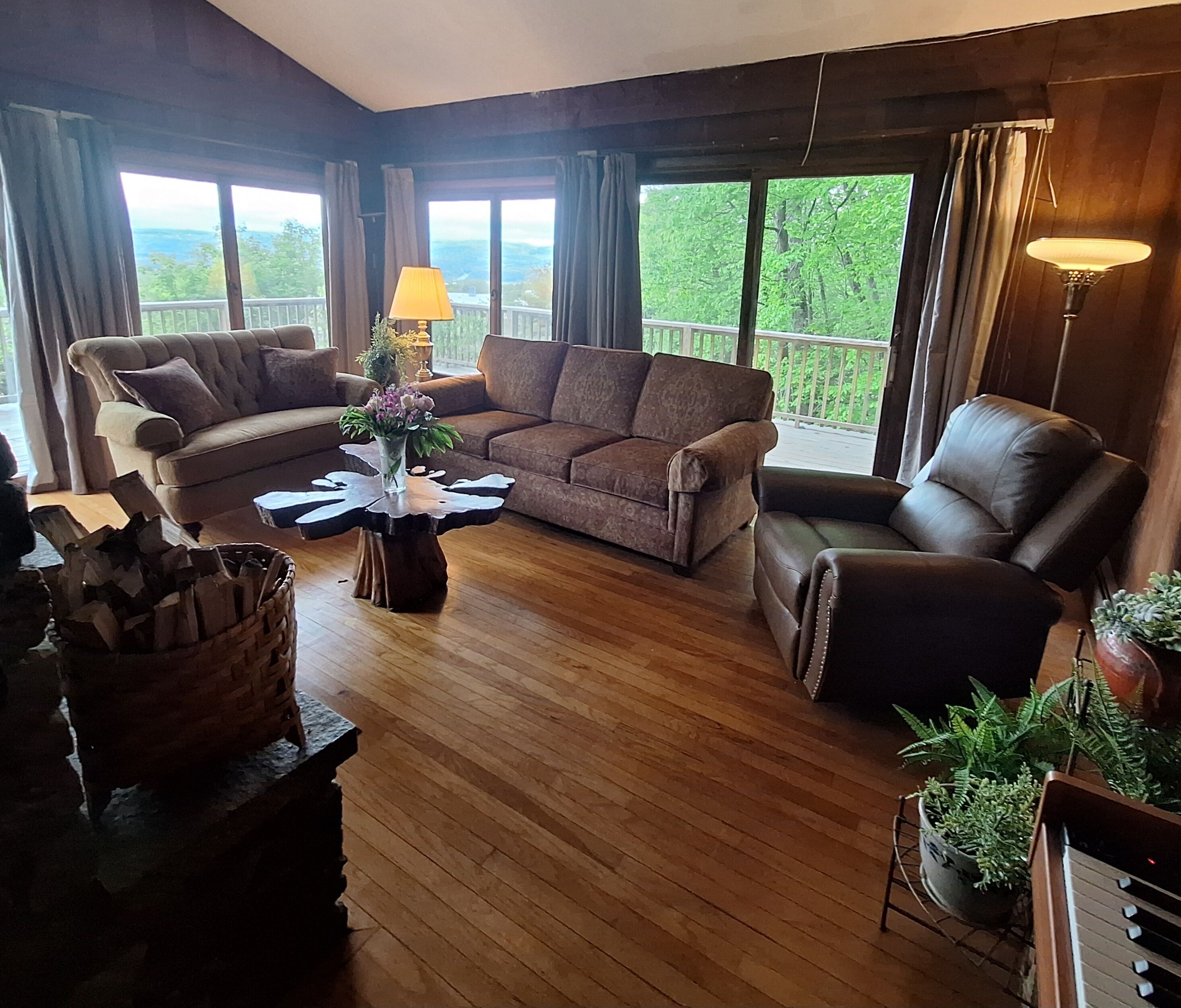 Smart TV, fireplace, books, stereo