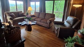 Smart TV, fireplace, books, stereo