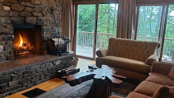 Smart TV, fireplace, books, stereo