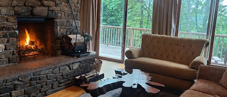 Smart TV, fireplace, books, stereo