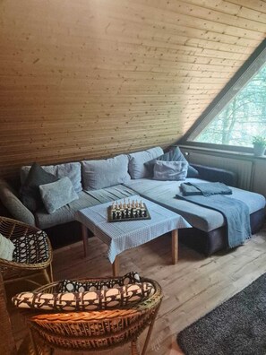 Smart TV, chimenea, libros y videoteca 