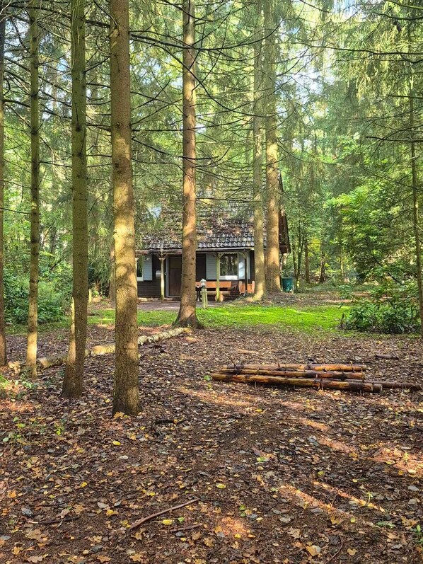 Exterior - Cozy cottage on idyllic wooded property near Oldenburg - dogs welcome (Hatten)