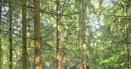 Kuschelige Hütte auf idyllischen Waldgrundstück nahe Oldenburg -Hunde willkommen