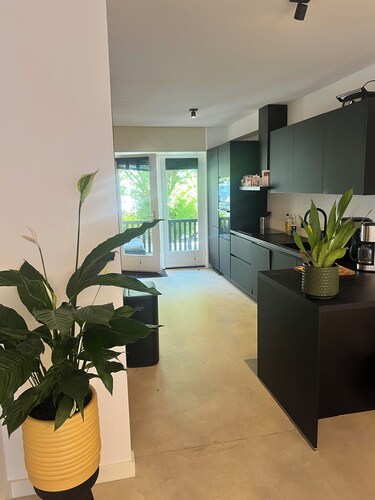 Scenic, central, and connected: Amsterdam at your doorstep.