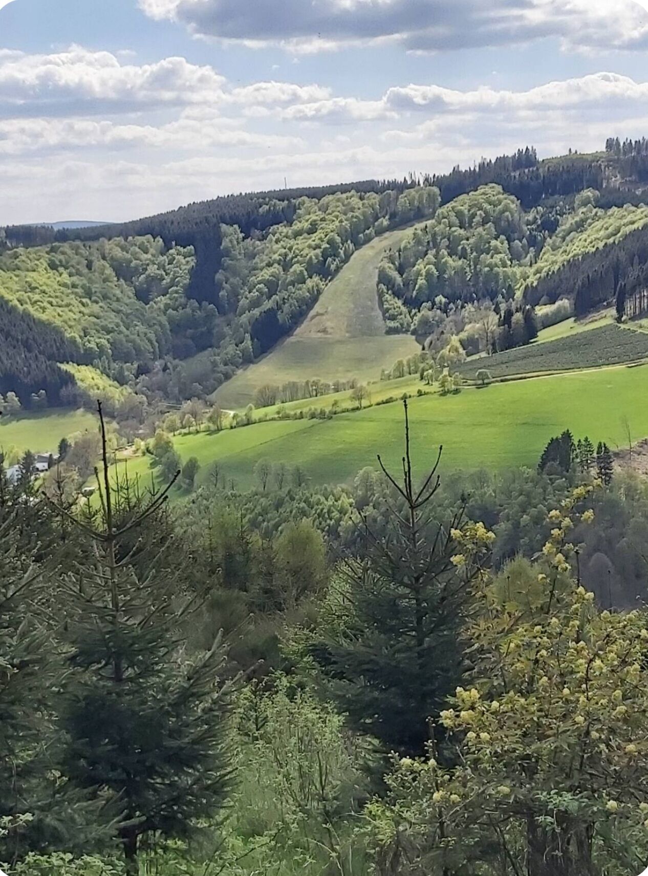 A panoramic view of a lush valley with rolling hills, dense forests, and a clear sky.