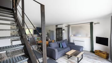 TV, fireplace, books