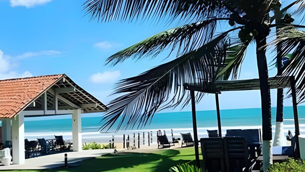 Um resort à beira-mar com área de estar coberta, palmeiras e vista para o oceano.