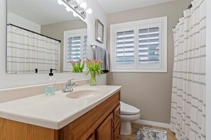 Hair dryer, towels, soap, toilet paper