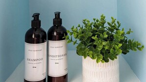 Due flaconi di shampoo e una pianta in vaso su un ripiano.
