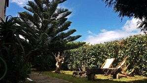 A garden with a stone pathway, a wooden chair, and a large tree.