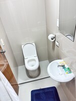 Un baño con inodoro, lavamanos y espejo.