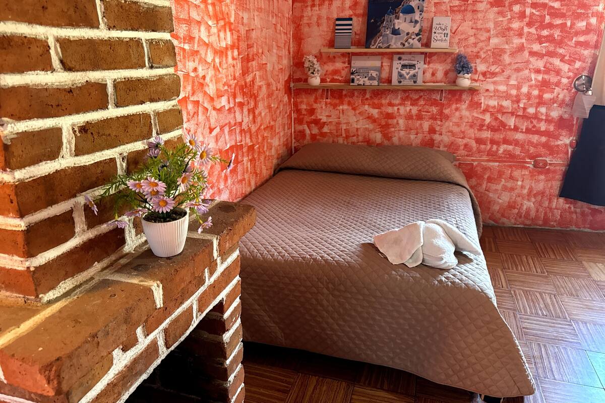Een kamer met een bakstenen muur, een bed met een geborduurde spreideken, een plankje met decoratieve spullen en een potplant.