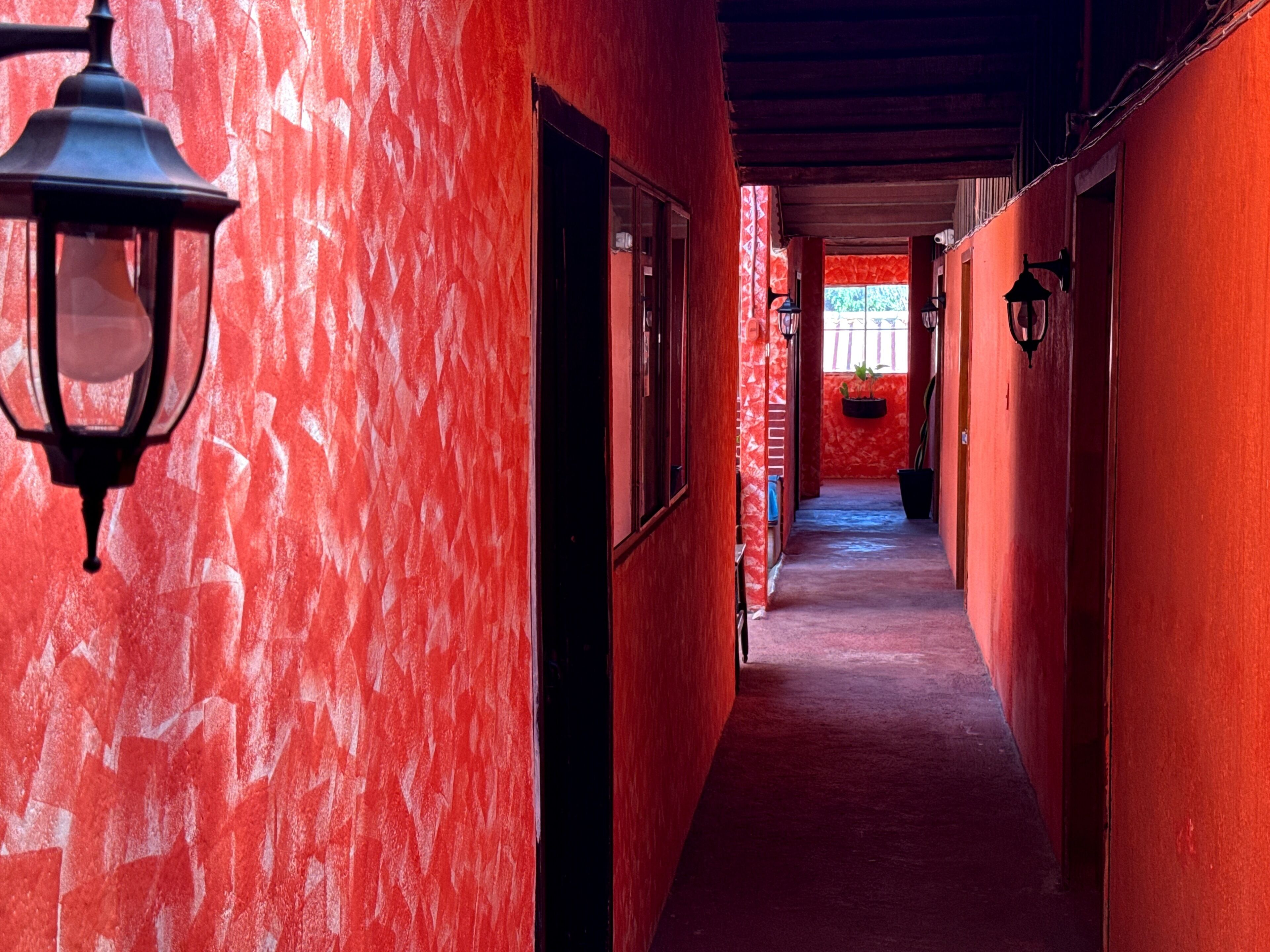 A corridor with red walls, a hanging plant, and a lantern.