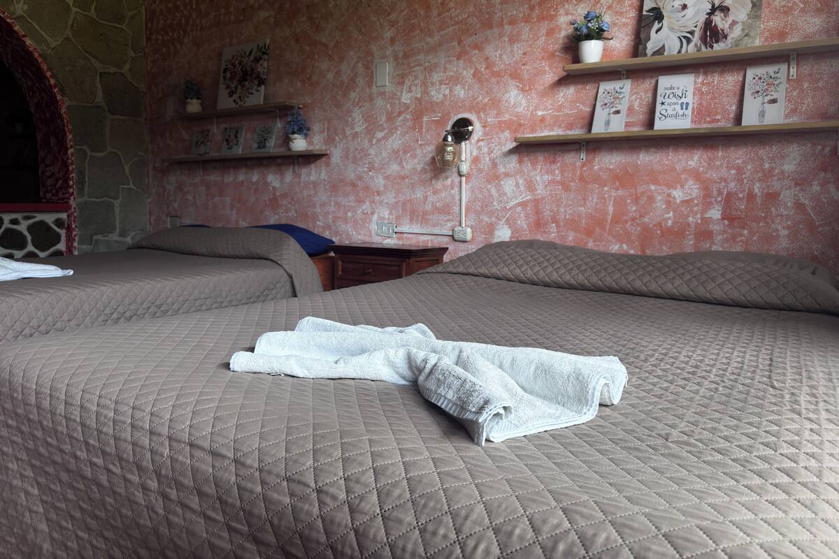 Een kamer met twee bedden, een stenen muur, een houten plank met kunstwerken en een nachtkastje met een lamp.