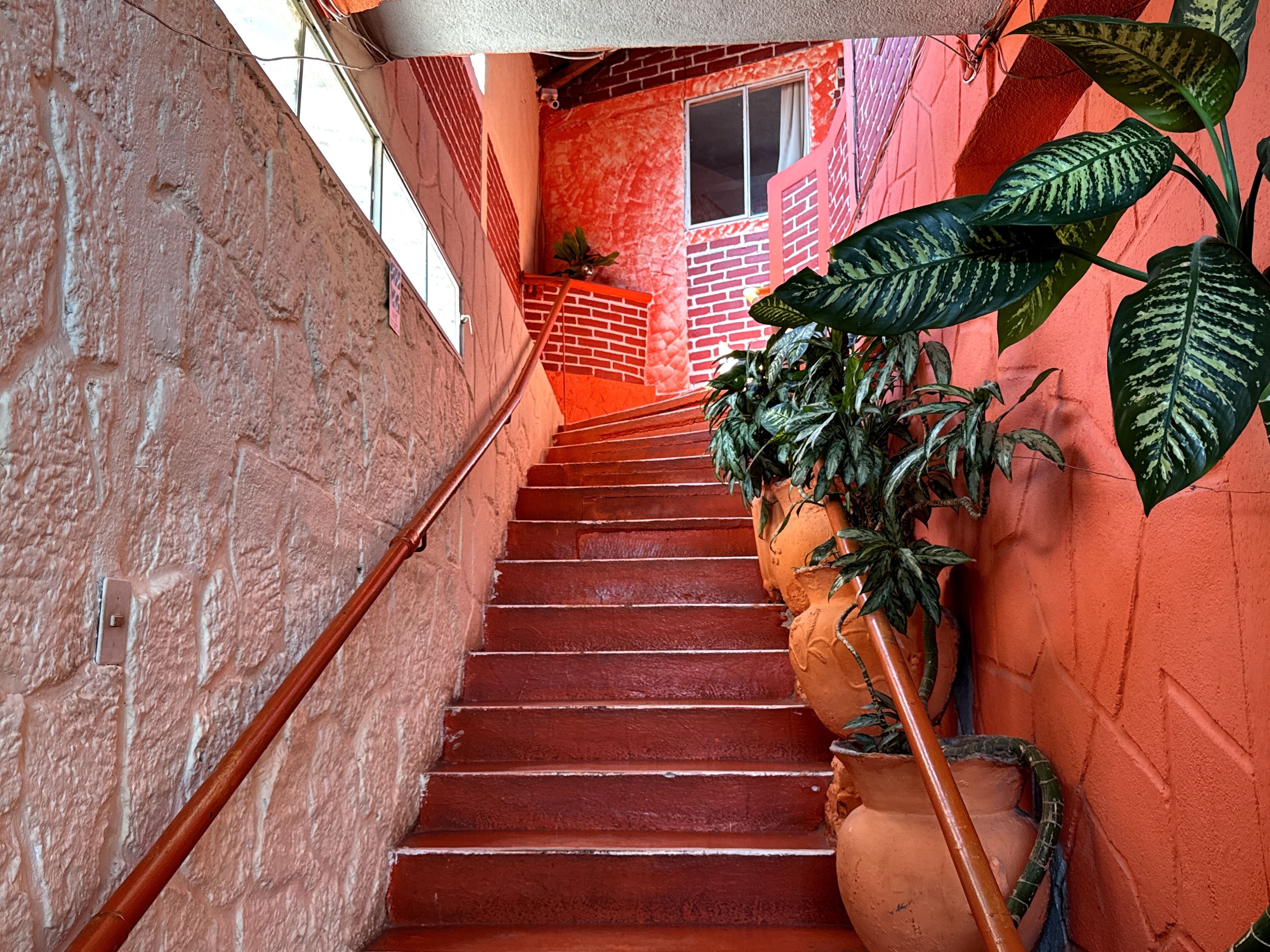 A staircase with red steps, a brick wall, and a potted plant on the right.