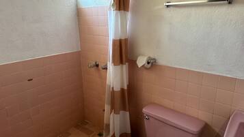 A bathroom with a shower, toilet, and sink.
