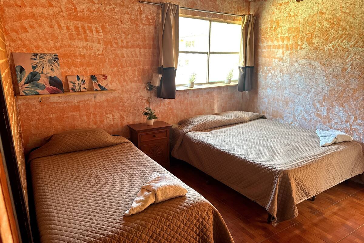 Een kamer met twee bedden, een raam met gordijnen, een kleine tafel met een plant en een muur met een structuur.
