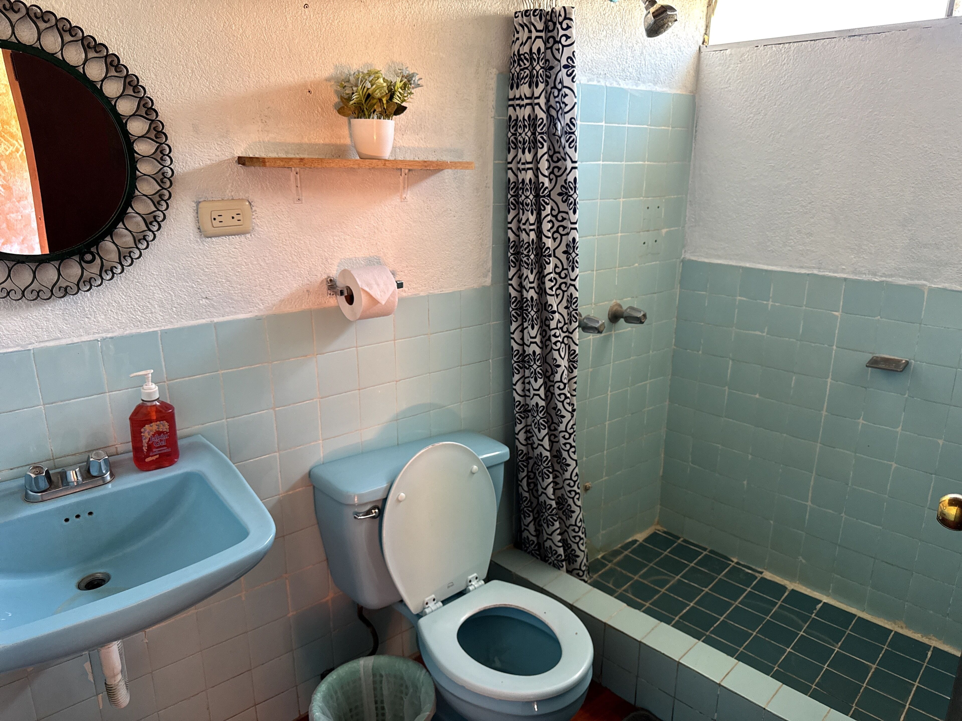 Un baño con inodoro, lavamanos, ducha y un estante pequeño con una planta.