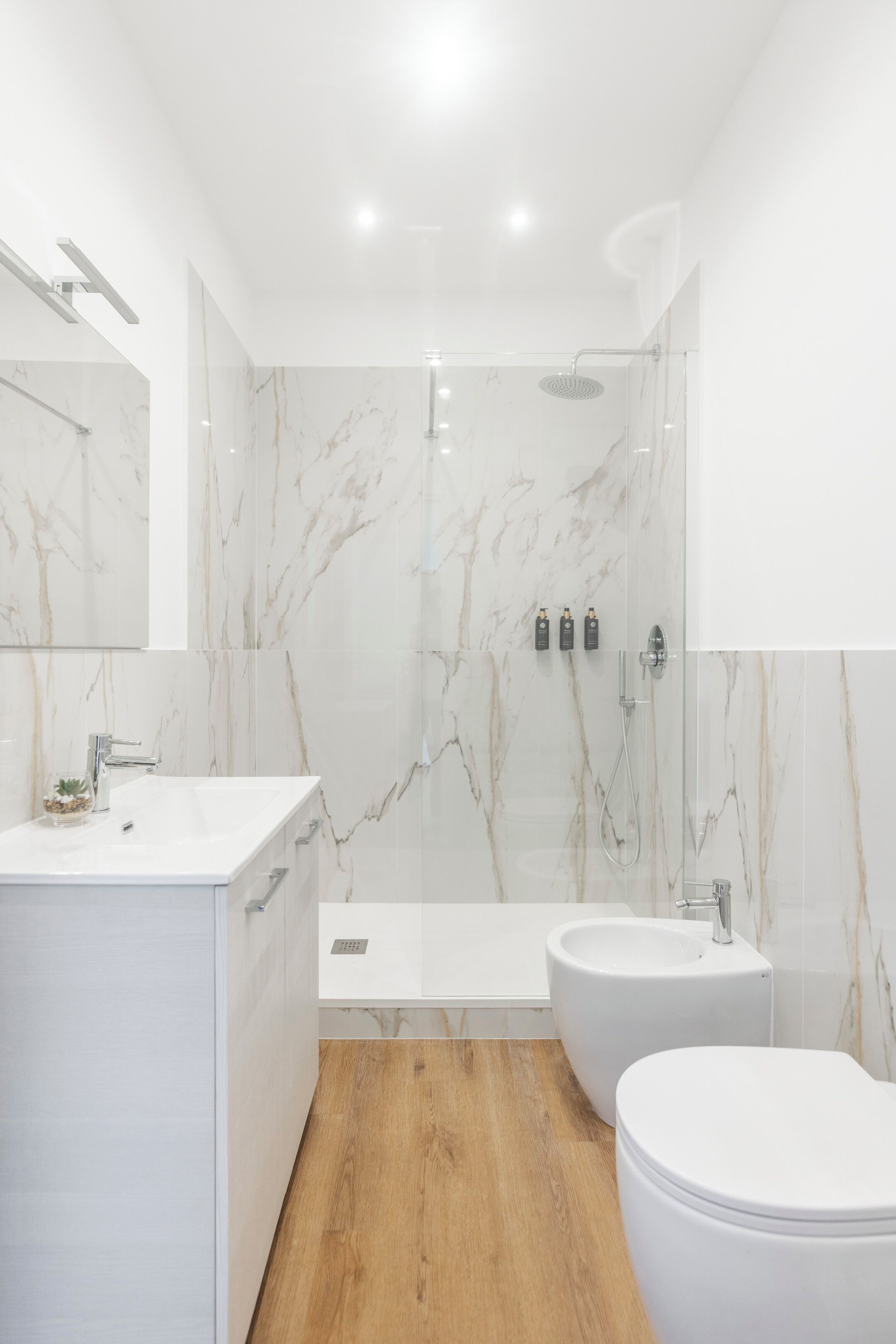 Shower, eco-friendly toiletries, hair dryer, slippers