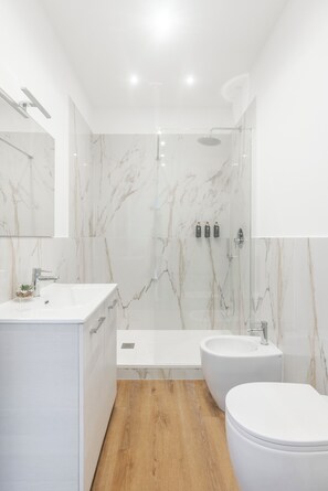 Shower, eco-friendly toiletries, hair dryer, slippers