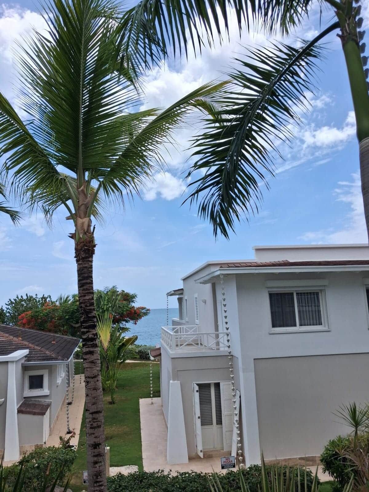 A beachfront property with a white building, a palm tree, and a clear view of the ocean.