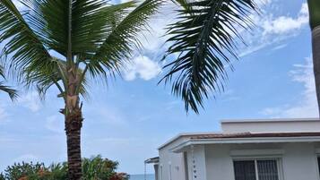 A beachfront property with a white building, a palm tree, and a clear view of the ocean.