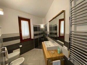 Shower, hair dryer, bidet, towels
