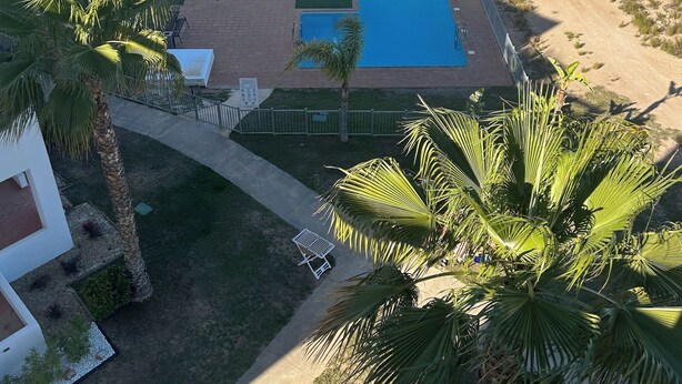 Uma área residencial moderna com piscina central, cercada por palmeiras e um calçadão pavimentado.