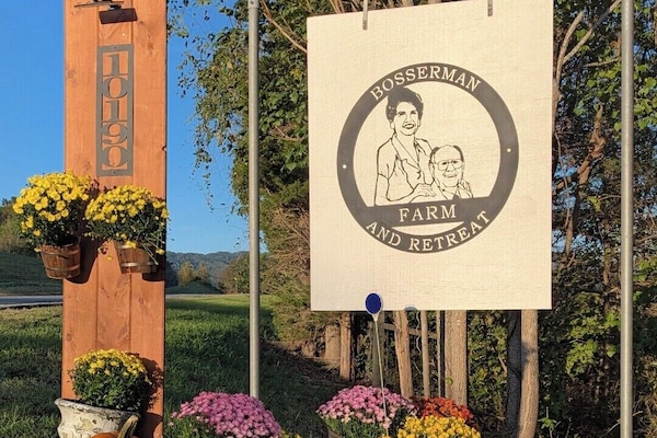 Àrea exterior de l'allotjament