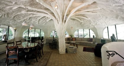 The Mushroom House