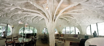 The Mushroom House